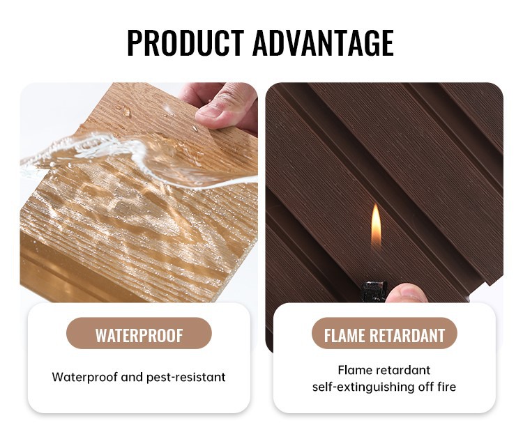 photobank 1 photobank 1